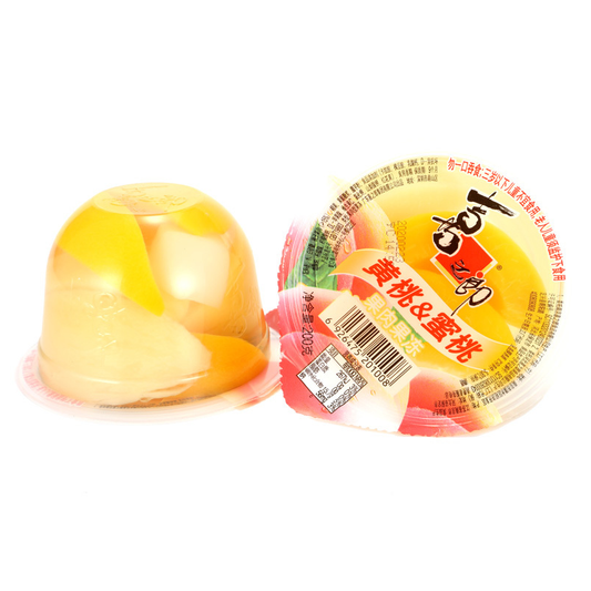 PUDDING GUSTO DI ALBICOCCA E PESCA 200g-XZL